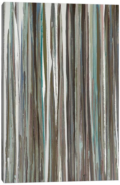 Cool Stripes Canvas Art Print - Blakely Bering