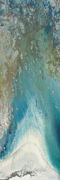 Large Art for Bathroom - Canvas Prints: Heliotropes I by Blakely Bering
