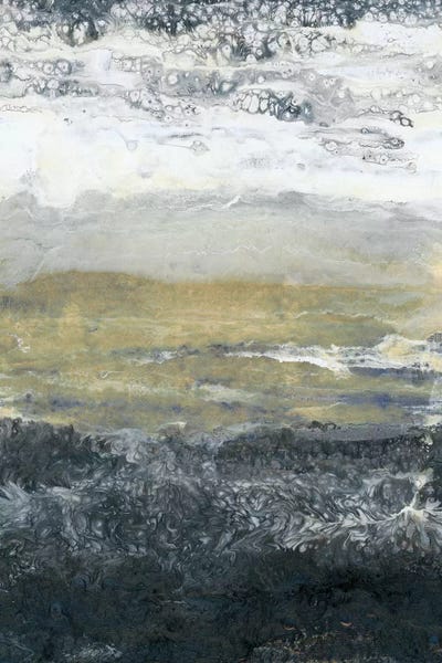 Lunar Noir by Blakely Bering canvas print