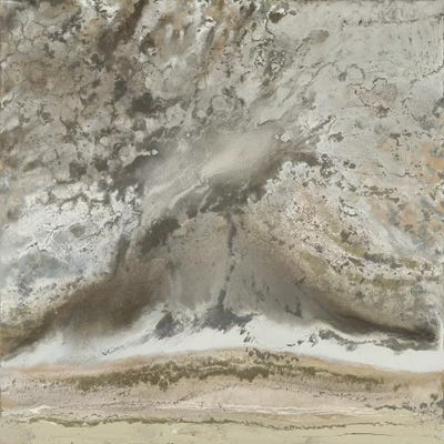 Calm Terrain by Blakely Bering canvas print