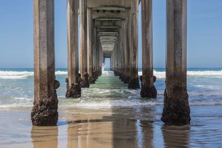 Under Scripps Pier, La Jolla