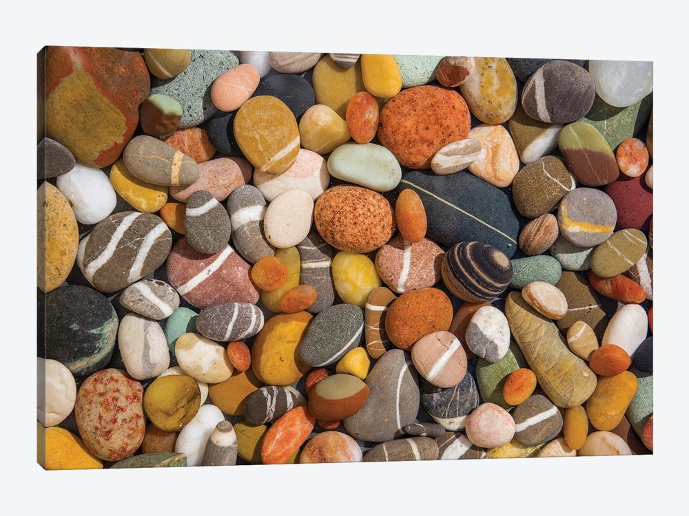 Beach Stones Collection by Barbara Markoff 1-piece Canvas Art Print