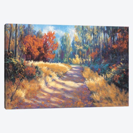 Early Autumn Trail Canvas Print #BMC1} by Bruce Mcadam Canvas Wall Art