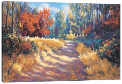Early Autumn Trail Canvas Art Print