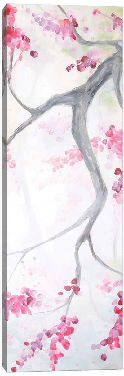 Cherry Branches Canvas Art Print - Betsy McDaniel
