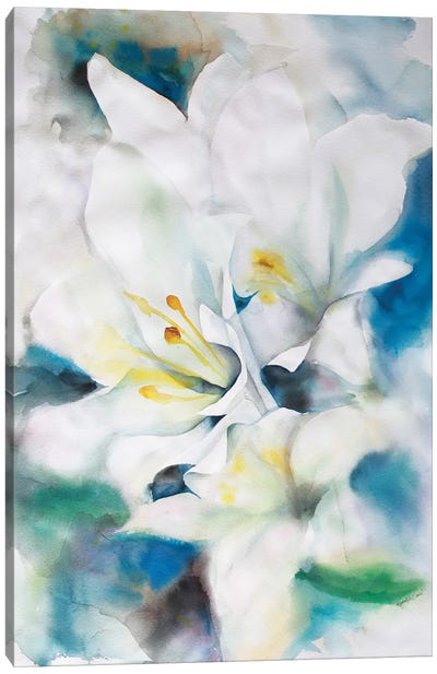 White Lillies Canvas Art Print - Betsy McDaniel