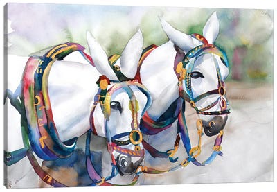 Big Mac Horses Canvas Art Print - Betsy McDaniel