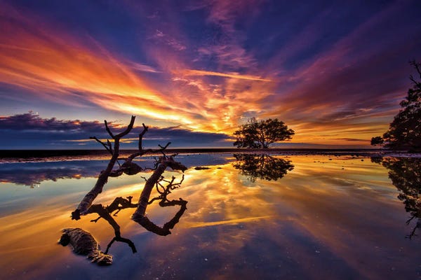 Ben Mulder: Sticks And Trees II by Ben Mulder