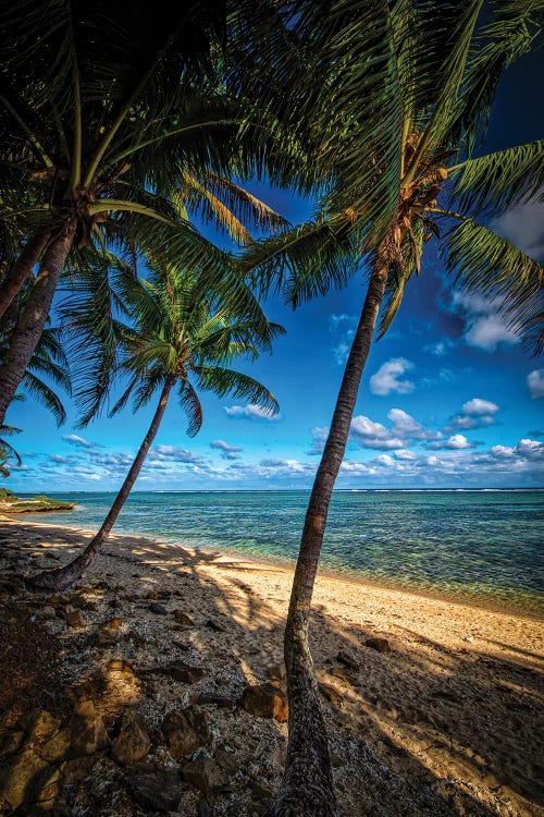 Tropical Shores by Ben Mulder wall art