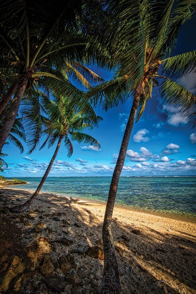Fine Art Print: Tropical Shores by Ben Mulder