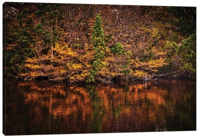 Autumn Lake Canvas Art Print - Ben Mulder