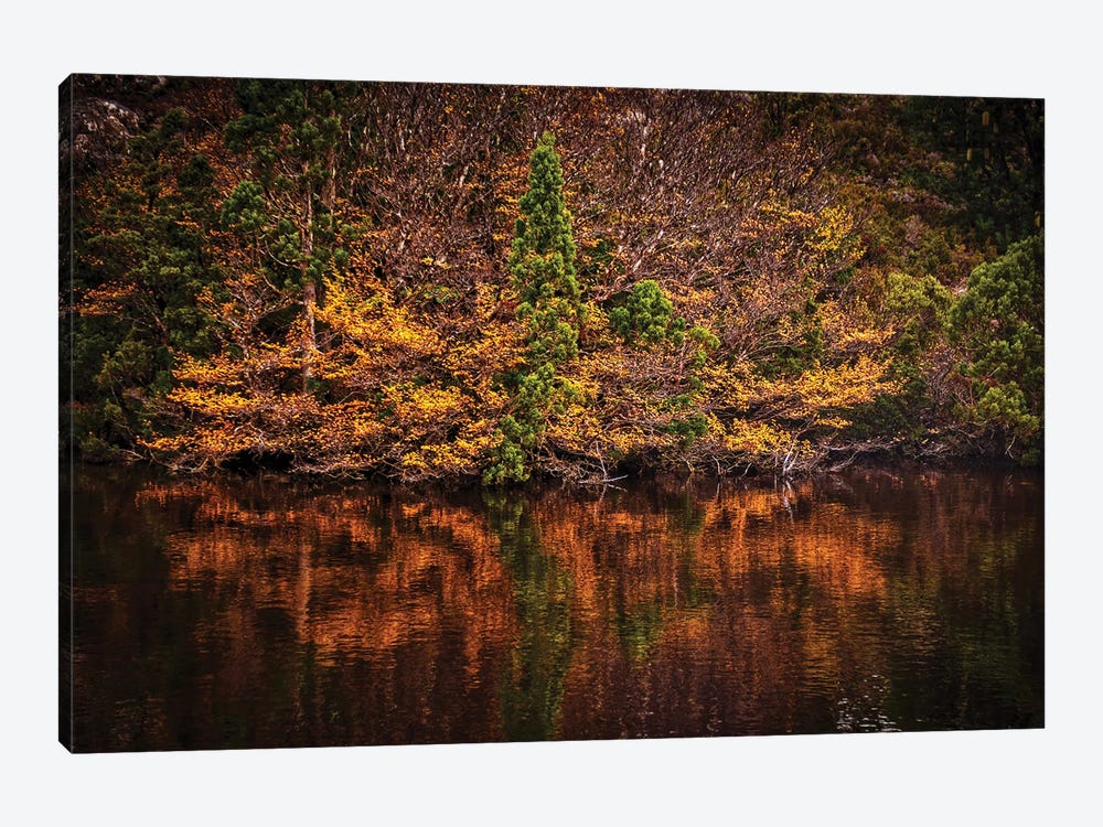 Autumn Lake by Ben Mulder 1-piece Canvas Art Print