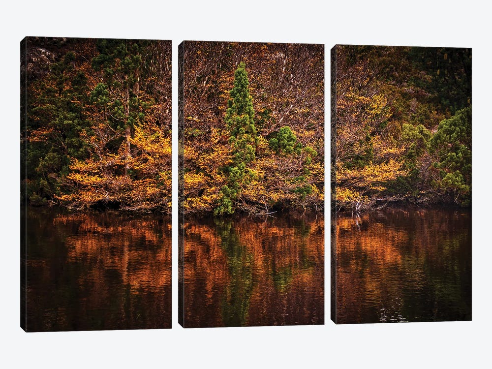 Autumn Lake by Ben Mulder 3-piece Canvas Print