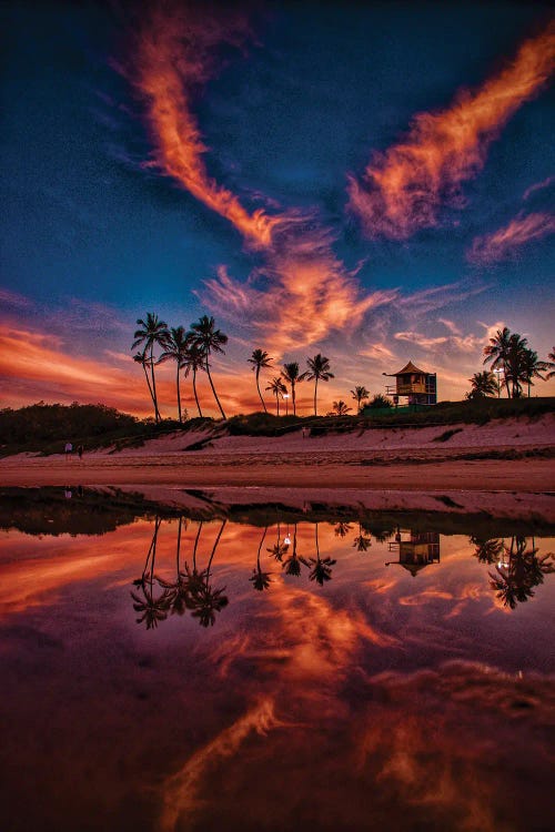 High Clouds Over Palms