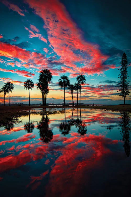After The Rain by Ben Mulder wall art