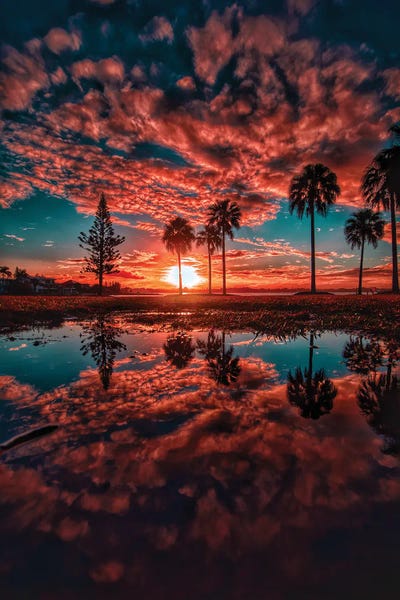 California Dreaming by Ben Mulder canvas print