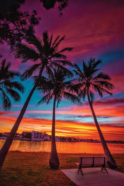 Ben Mulder: Sunset Seat by Ben Mulder