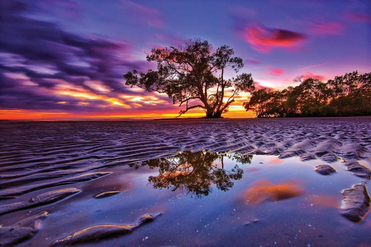 Sand Ripples