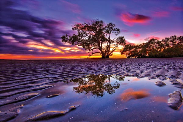 Ben Mulder: Sand Ripples by Ben Mulder