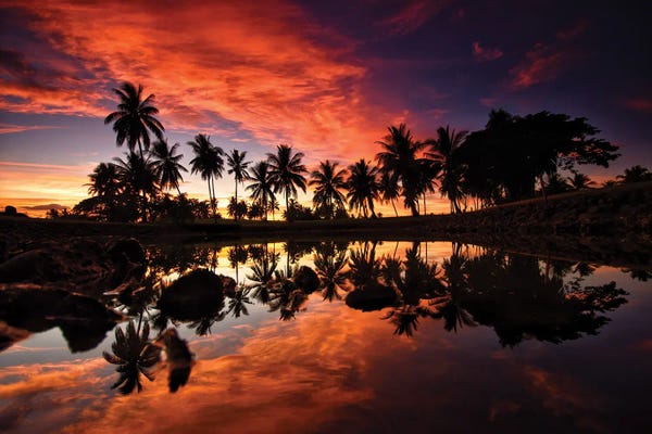 Ben Mulder: Palm Tree Lake by Ben Mulder