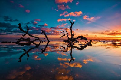 Sticks in The Water by Ben Mulder framed canvas print