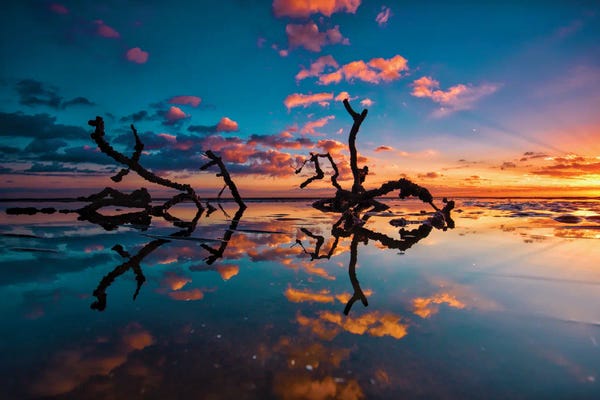 Ben Mulder: Sticks in The Water by Ben Mulder