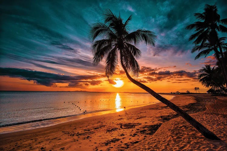 Tropical Sunset