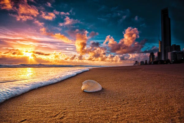 Ben Mulder: Beach Shell by Ben Mulder