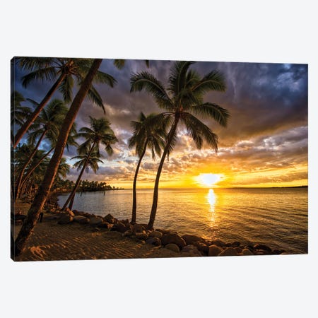 Palm Trees And Sunset Canvas Print #BML52} by Ben Mulder Canvas Art Print