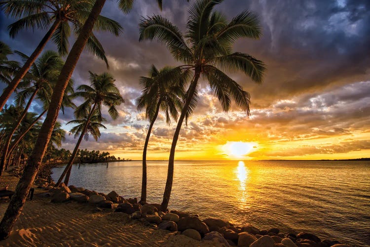 Palm Trees And Sunset by Ben Mulder wall art