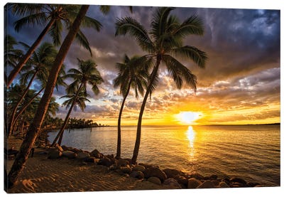 Palm Trees And Sunset Canvas Art Print - Beach Sunrise & Sunset Art