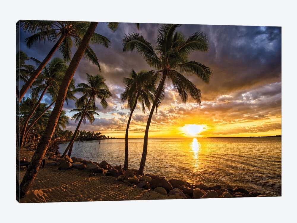 Palm Trees And Sunset by Ben Mulder 1-piece Canvas Wall Art