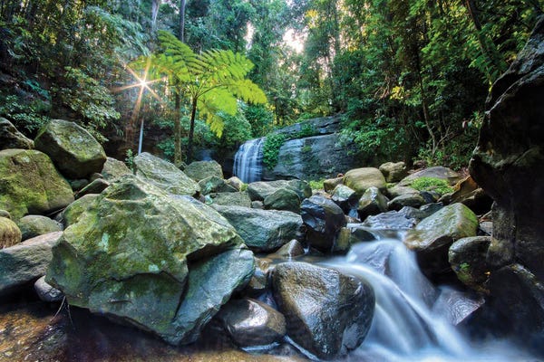 Ben Mulder: Water Falls by Ben Mulder