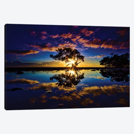 Tree In The Water Canvas Print #BML55} by Ben Mulder Canvas Artwork