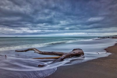Ocean Log by Ben Mulder framed canvas print
