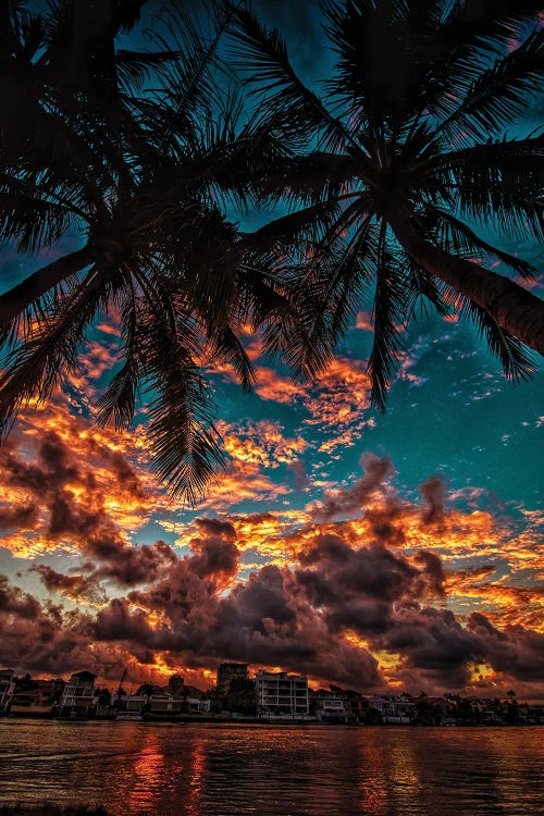 Sunset With Palms by Ben Mulder wall art