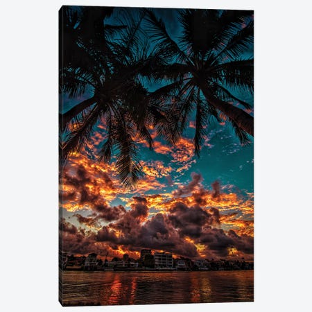Sunset With Palms Canvas Print #BML68} by Ben Mulder Canvas Artwork