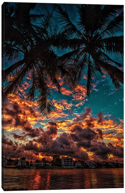 Sunset With Palms Canvas Art Print - Ben Mulder