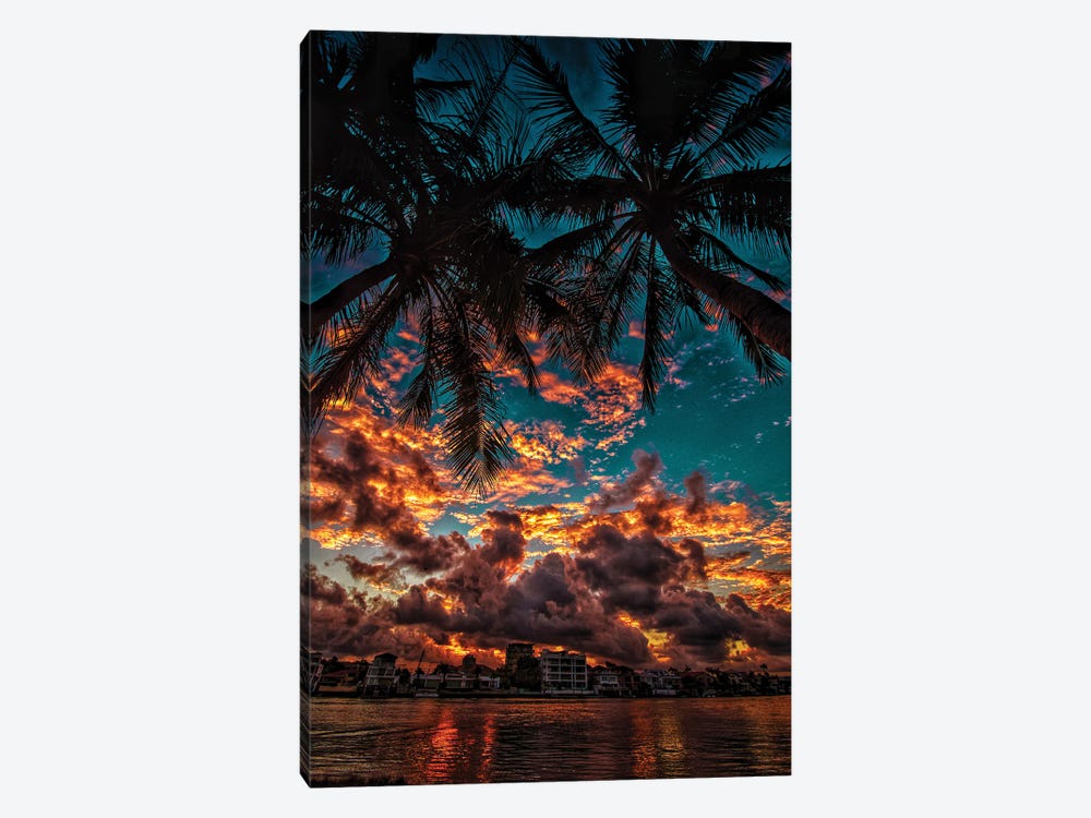 Sunset With Palms by Ben Mulder 1-piece Canvas Print