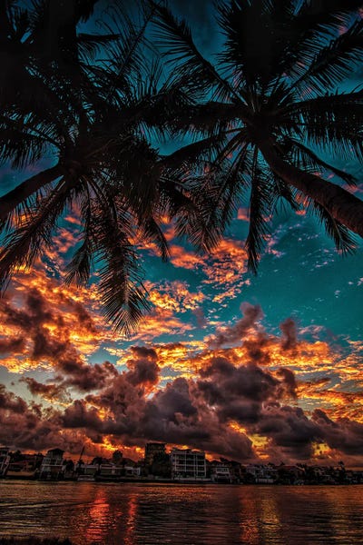 Ben Mulder: Sunset With Palms by Ben Mulder