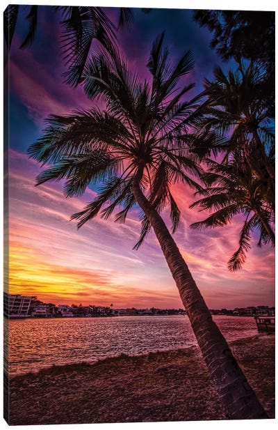 Sunset Palm Canvas Art Print - Tropical Beach Art