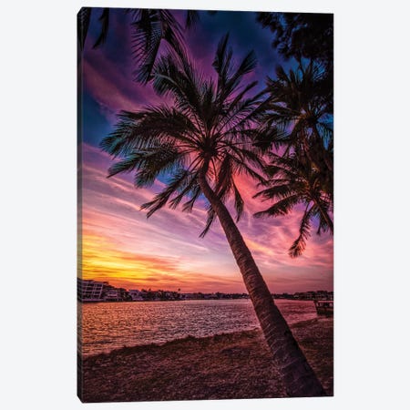 Sunset Palm Canvas Print #BML70} by Ben Mulder Art Print