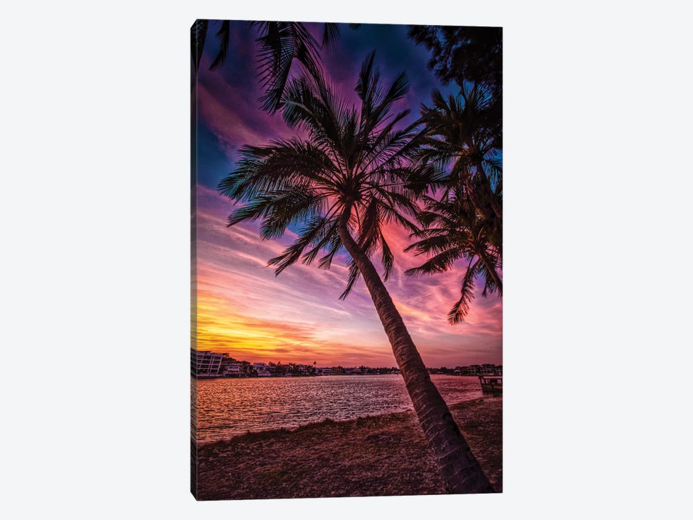 Sunset Palm by Ben Mulder 1-piece Canvas Wall Art