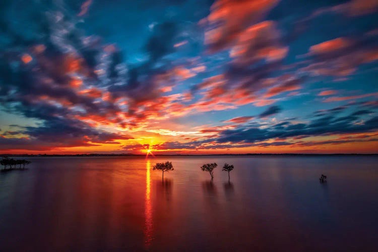 Three Amigos by Ben Mulder wall art