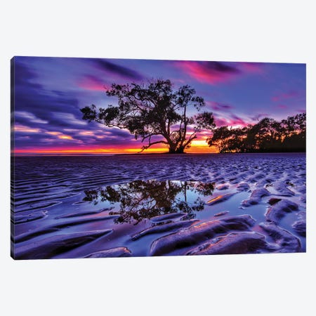 Tree In The Sand Canvas Print #BML90} by Ben Mulder Canvas Print