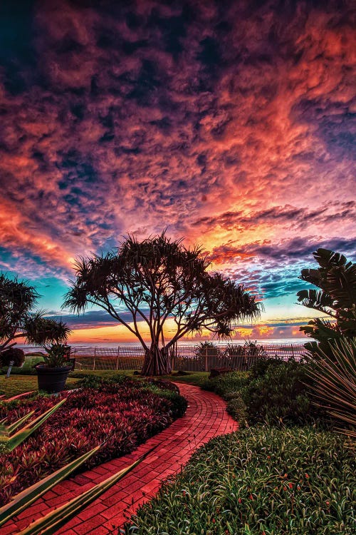 Red Brick Path by Ben Mulder wall art