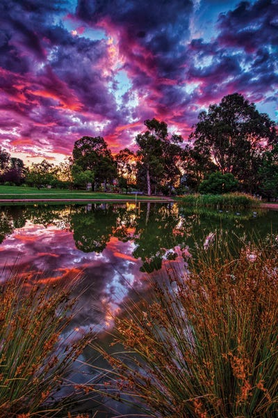 Ben Mulder: Through The Reeds by Ben Mulder