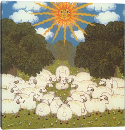 Sheep III Canvas Art Print