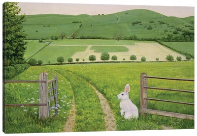 Spring Rabbit Canvas Art Print