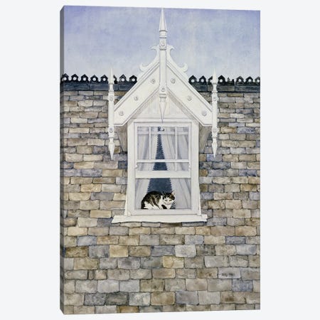 St.Helier Dormer Cat Canvas Print #BMN10009} by Ditz Art Print